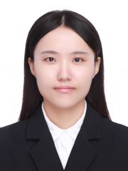 陶迪